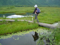 �r�����������B